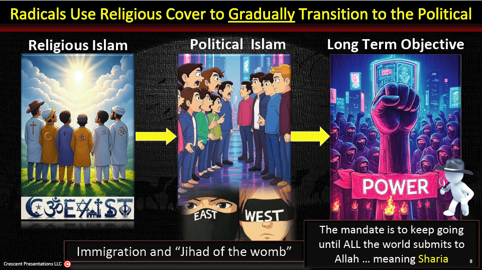 Political Islam graphic 2