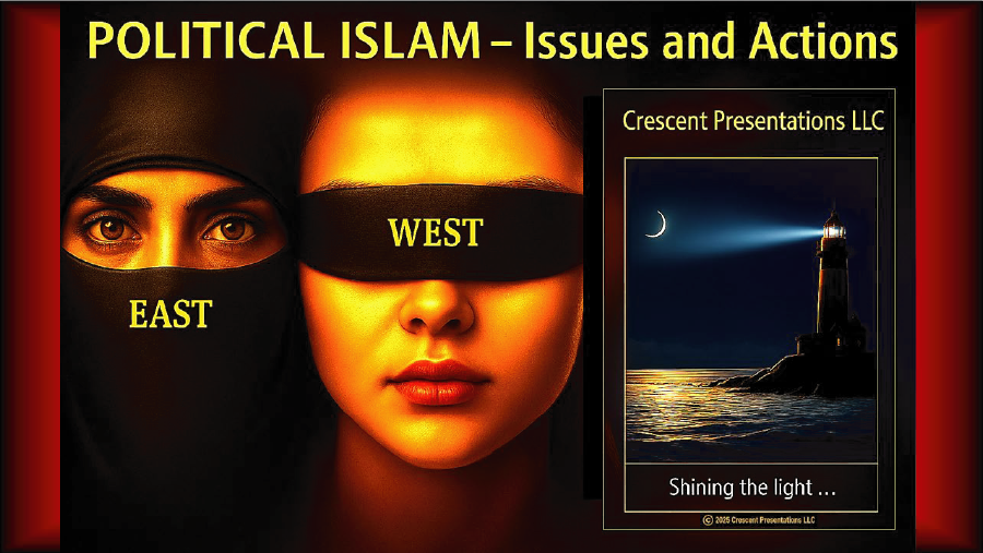 Political Islam graphic